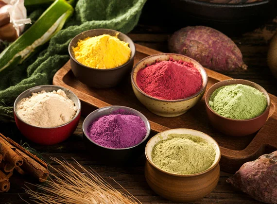 Vegetable Powder - Dev Tandoor Industries